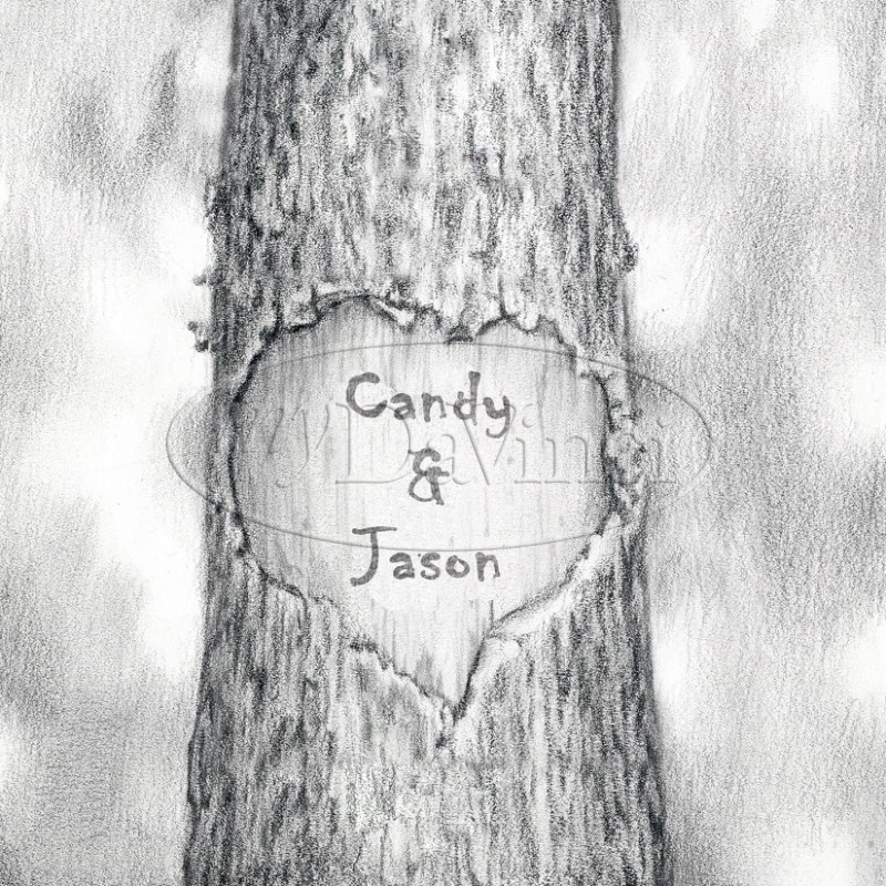 easy pencil drawings of trees