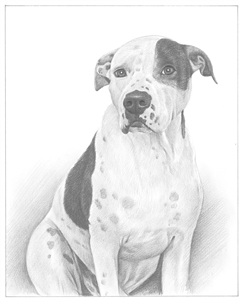 Hand Drawn Pencil Portraits from Photos | Pencil Portrait Drawing | Pencil Sketch Artists