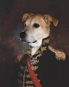 Personalized Masterpiece Major General from Photo