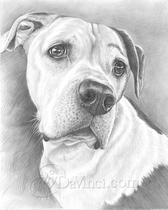 Personalized Gift for Boyfriend CUSTOM DRAWING from Photo Pencil